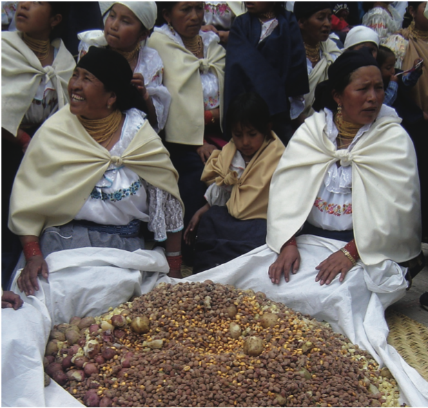 Chapu kamcha – Mezcla de granos  